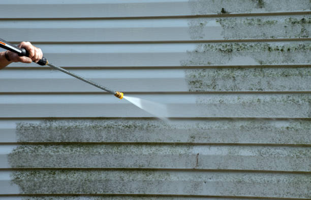 Best Local Pressure Washing Services  in Crockett, TX